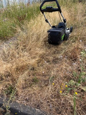 82v Lawn Mower 51cm